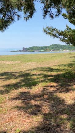 身軽だからすぐ動ける。お財布ショルダーで叶えたご褒美タイム♪の記事動画