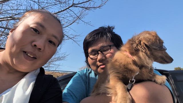 明日。の記事動画
