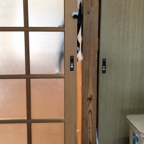 さすが！の画像
