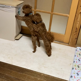 どう見てもの画像