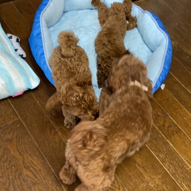 男に厳しくの画像