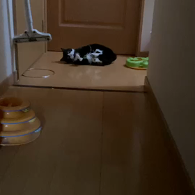 面白すぎの画像