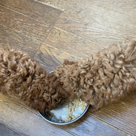 食べっぷりの画像