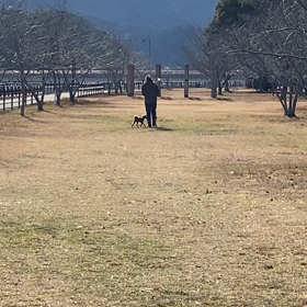 人見知り時代の画像