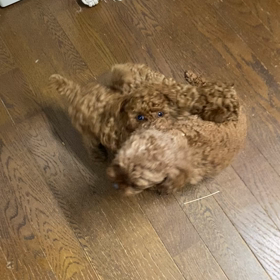 微笑ましくないの画像