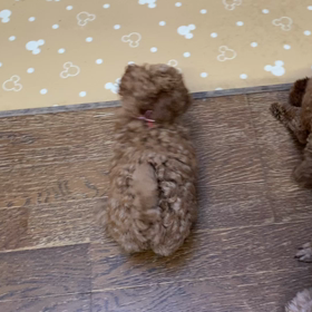 どう見てもの画像