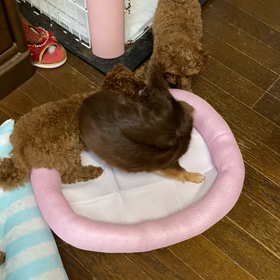 絡みだしたの画像