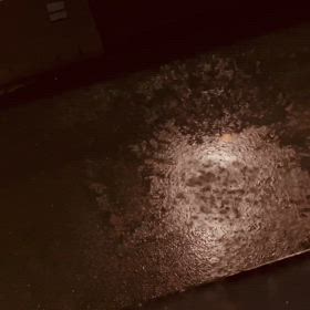 2024/08/20の画像