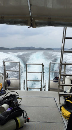 【 沖縄旅行 part8 慶良間諸島 】の記事動画