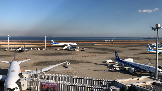 卒業生に呼ばれて羽田空港へ♪の記事動画