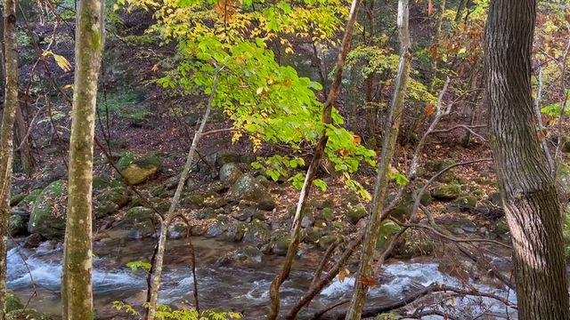 快晴で爽やかday in 長野&山梨の記事動画