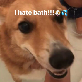 地獄の修行タイムの画像