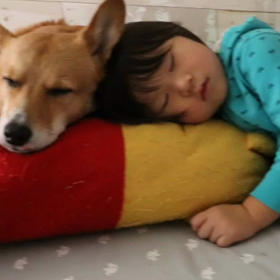 枕はシェアで。。の画像