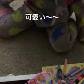 順調に進む犬バカへの道の画像