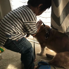 俺がお散歩に連れてってあげるぜ！な男の画像