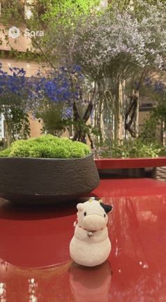 今日もご機嫌牛の記事動画