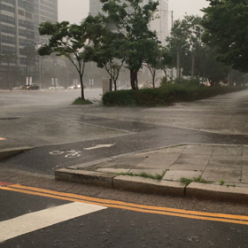 雨のソンドの画像