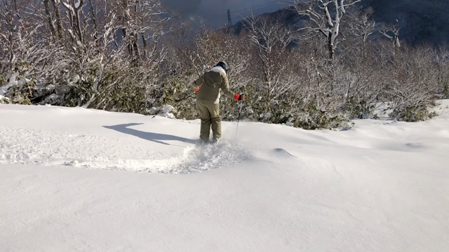 頂く（動画あり）の記事動画