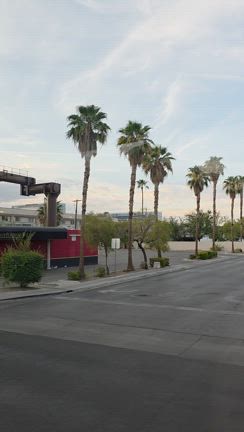 大自然が教えてくれたこと。息子と訪れた“人生のパワースポット”グランドキャニオンの記事動画