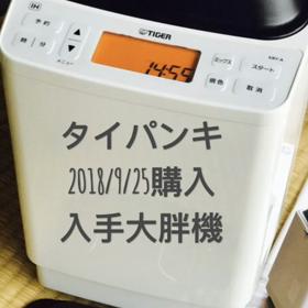 大胖機デビュータイパン#1#2の画像