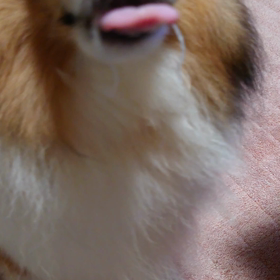 そうめんじゃないよの画像
