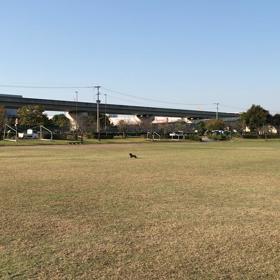 お気楽な１日 ☀️の画像
