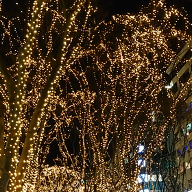 昨日のやらかしの画像