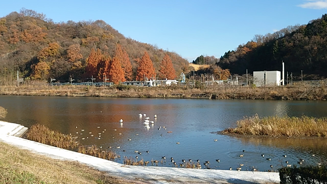 暇なので…の記事動画