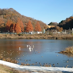 暇なので…の画像