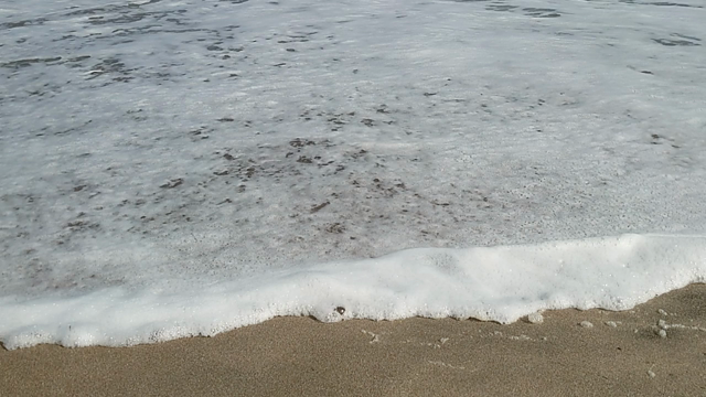 海の記事動画