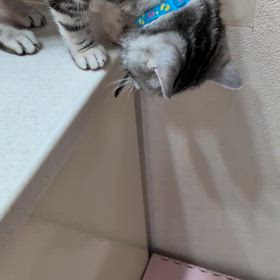 降りたいけれど…の画像