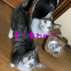 色々の画像