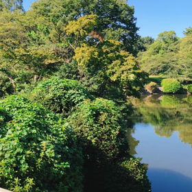 リモートの日々の画像