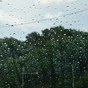 雨の画像