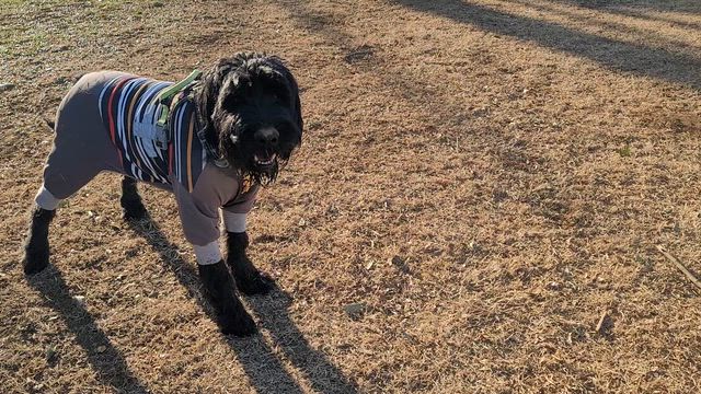 年パス更新と長年の勘違いの記事動画