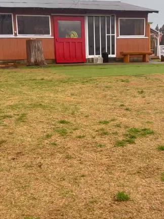 超大型犬の会「DOG」第１回オフ会は、雨、、、でも♪の記事動画