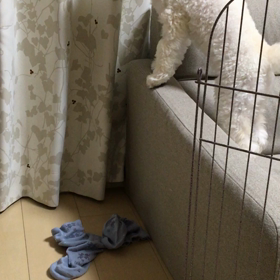 届かなーいの画像