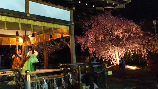☆〜京の夜桜〜♡の記事動画