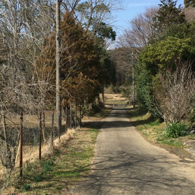 レッスン1週間後のウグイスの画像