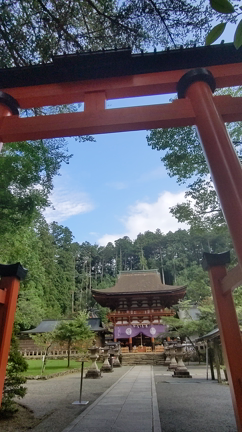 丹生都比売神社 参拝 高野山つながりの記事動画