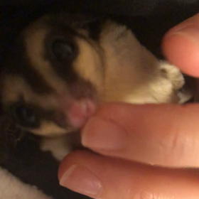 4ヶ月♡☻の画像