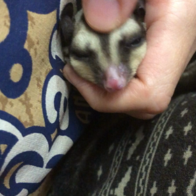 実家帰省中☻37日目♡の画像
