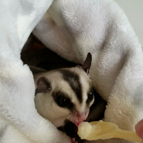 ♪一緒♪の画像