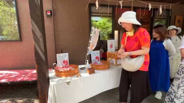 夏至の阿佐ヶ谷三社巡りで鯛を釣りました！の記事動画