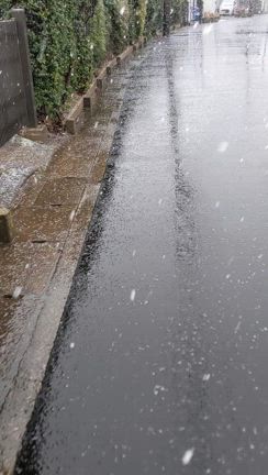 月曜日の雪の記事動画