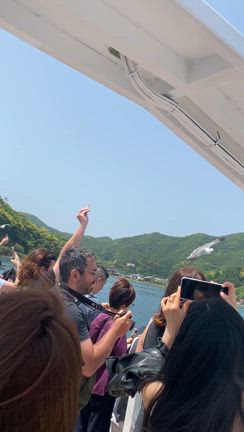 2025.5.22 天橋立にいきましたvol.1の記事動画