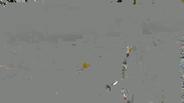 2025.5.22天橋立に行きましたvol2の記事動画