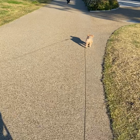 ゆったりの画像