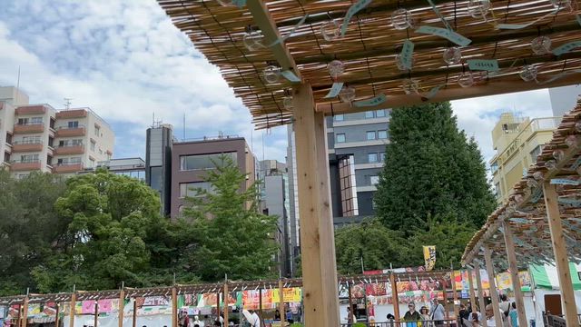 運気が低迷？＆ 2026.8月 株主優待権利取得銘柄の記事動画