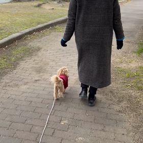 しつけ教室卒業✨の画像